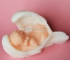 Baby on the wings 3D silicone mold
