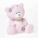 Bear 3D My Blue Nose Friends silicone mold